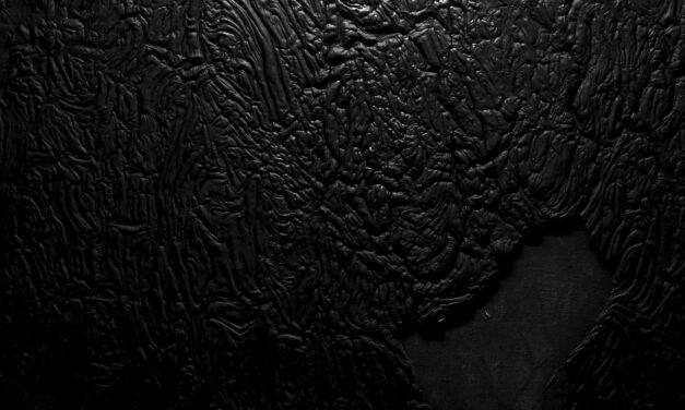 Statiqbloom, “The Casket Nest”