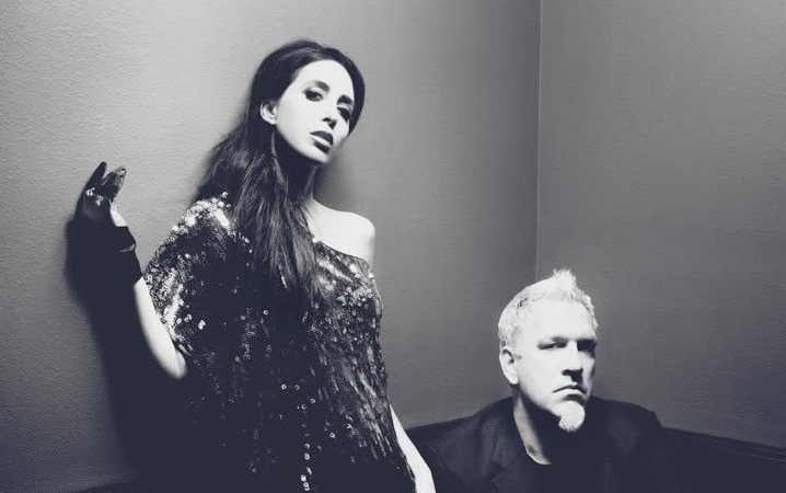 Kidneythieves