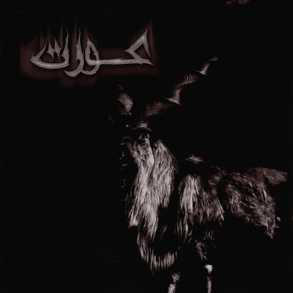 Aurat, “Silhouette”